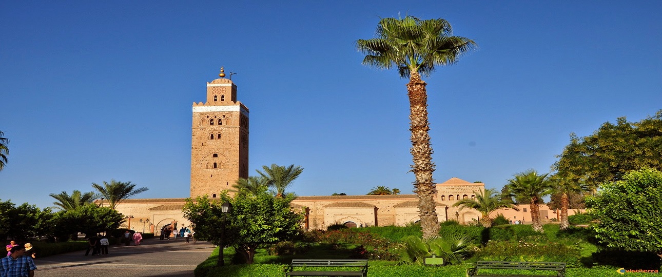 Newsletter - Magical Morocco